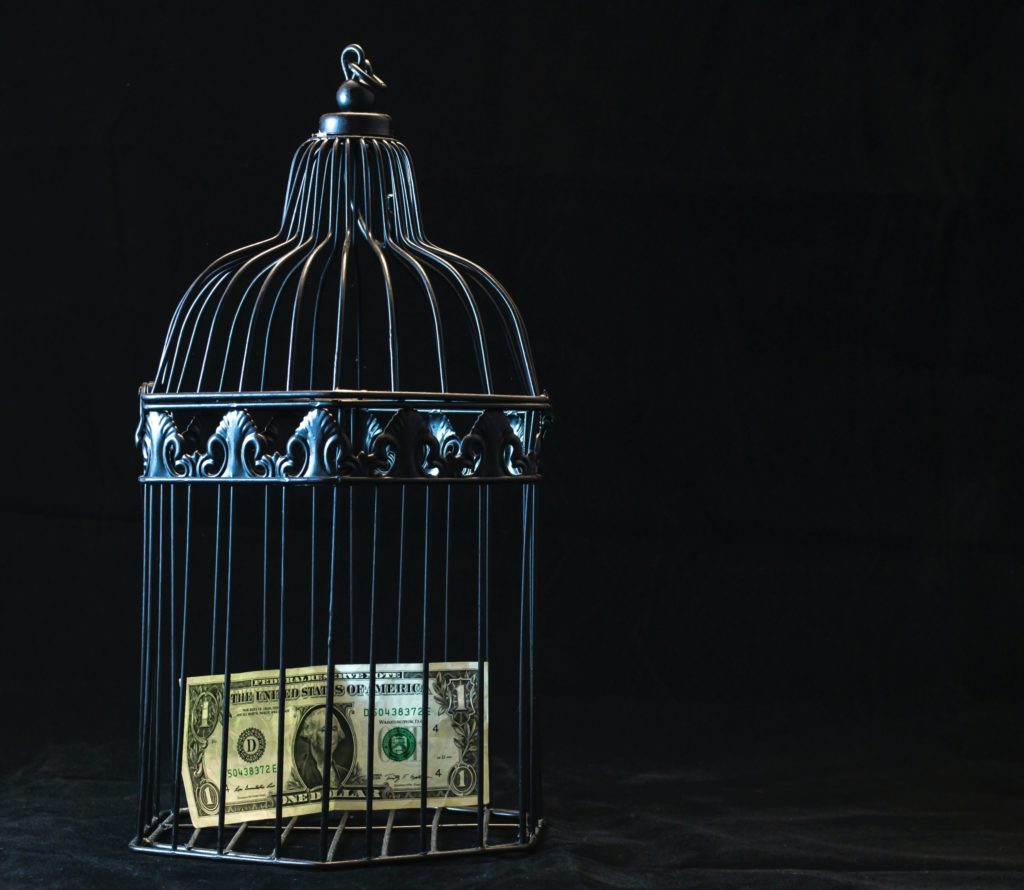 Black Steel cage with one dollar